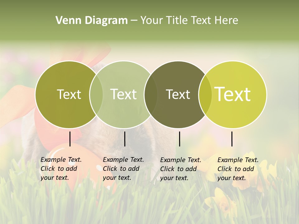 Hase Kinder Pelz PowerPoint Template