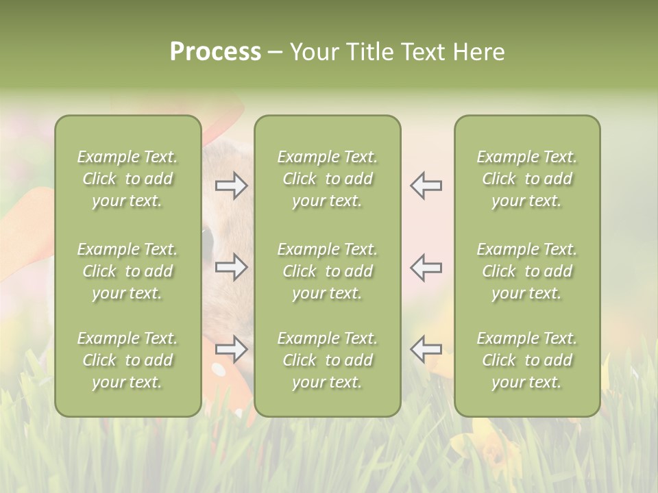 Hase Kinder Pelz PowerPoint Template