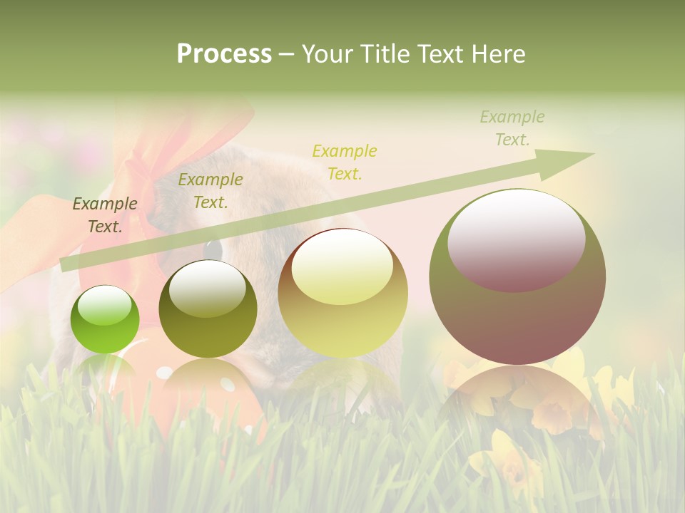 Hase Kinder Pelz PowerPoint Template