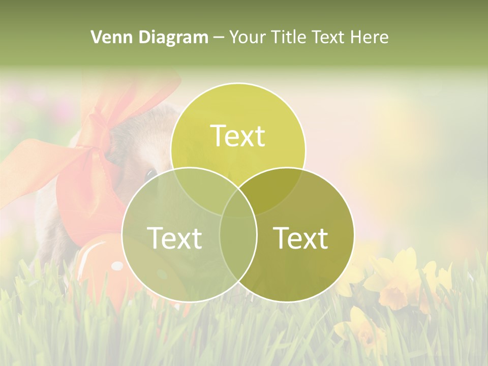 Hase Kinder Pelz PowerPoint Template