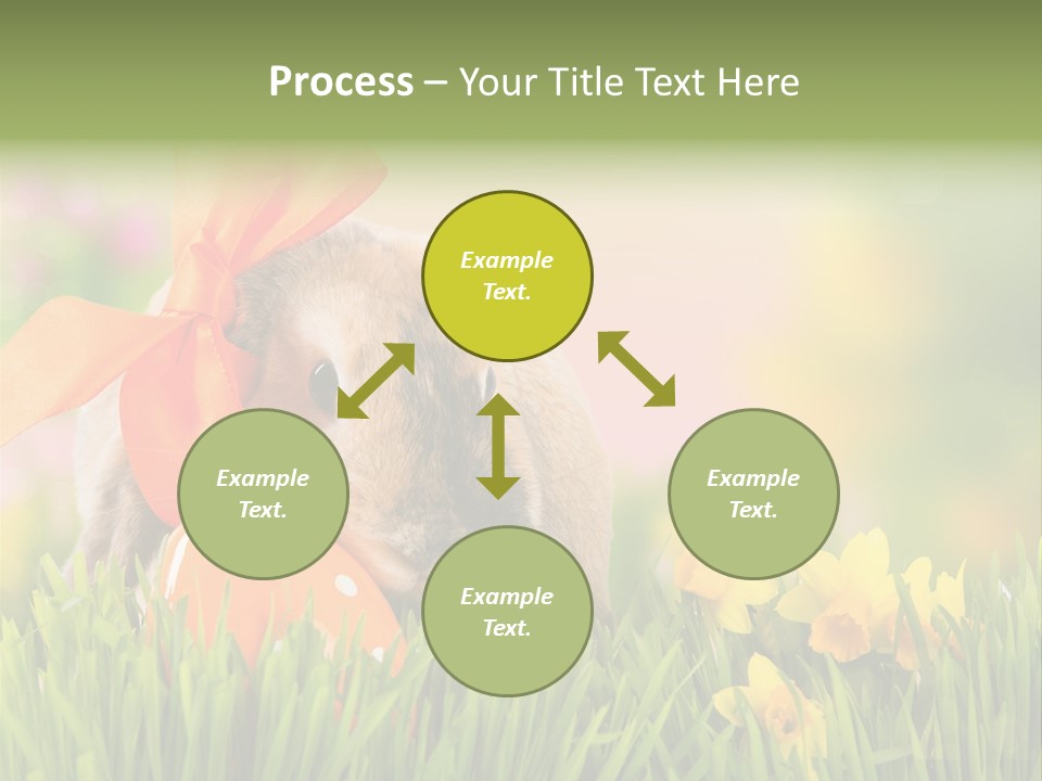 Hase Kinder Pelz PowerPoint Template