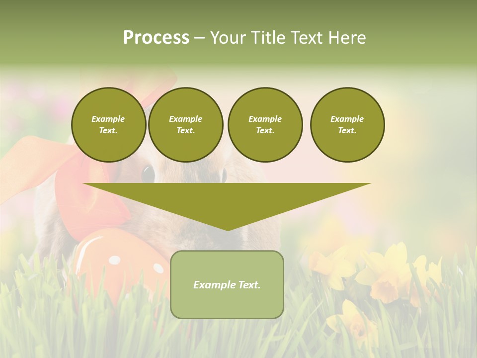 Hase Kinder Pelz PowerPoint Template