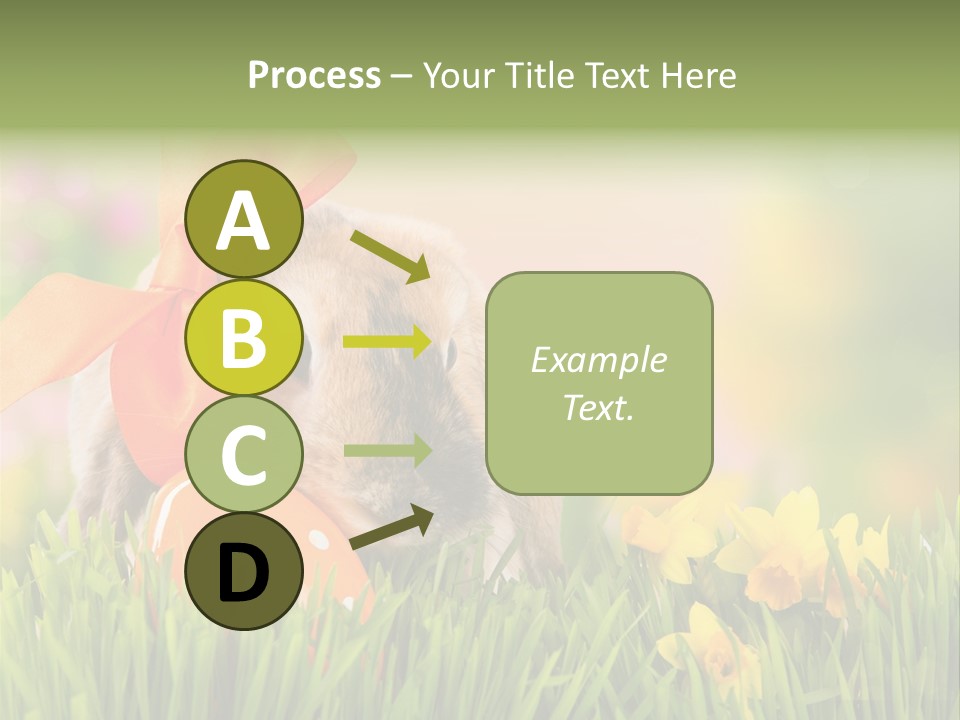 Hase Kinder Pelz PowerPoint Template