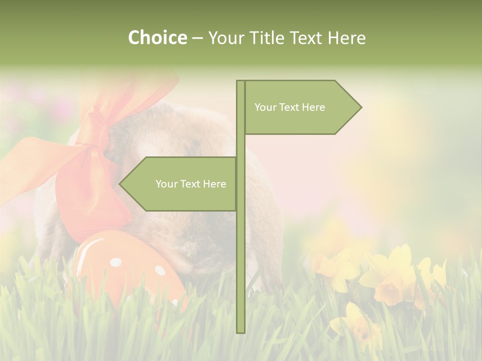 Hase Kinder Pelz PowerPoint Template