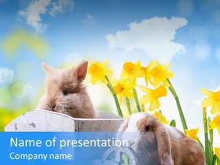 Kinder Sommer Nagetier PowerPoint Template