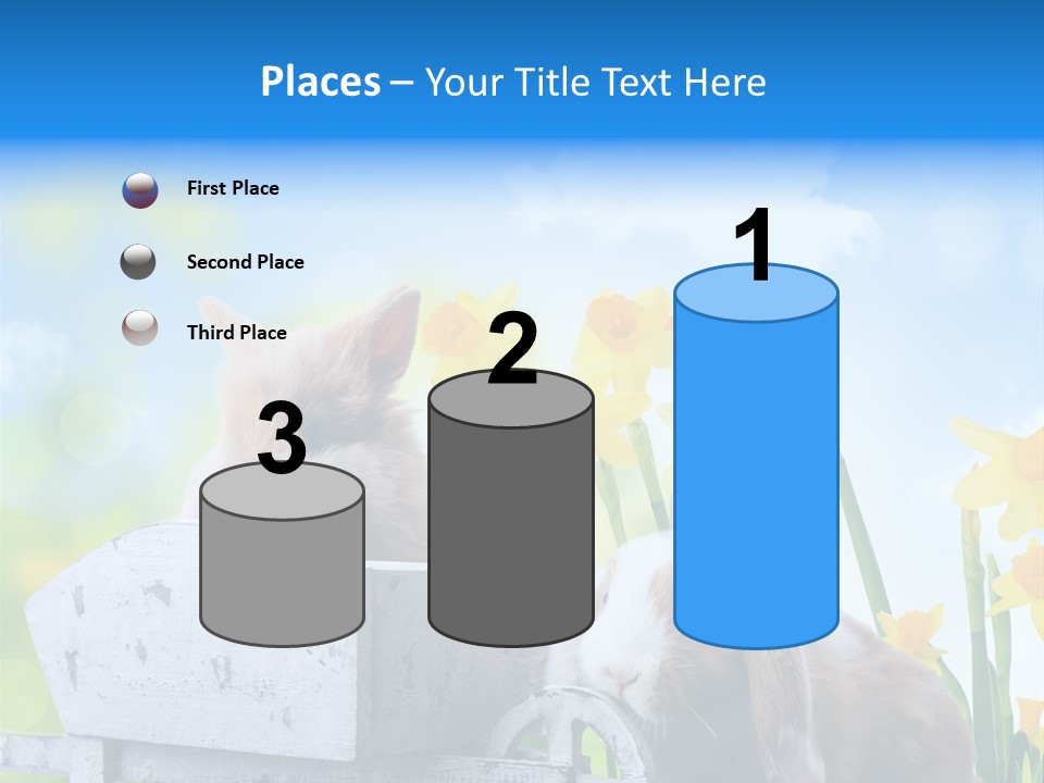 Kinder Sommer Nagetier PowerPoint Template