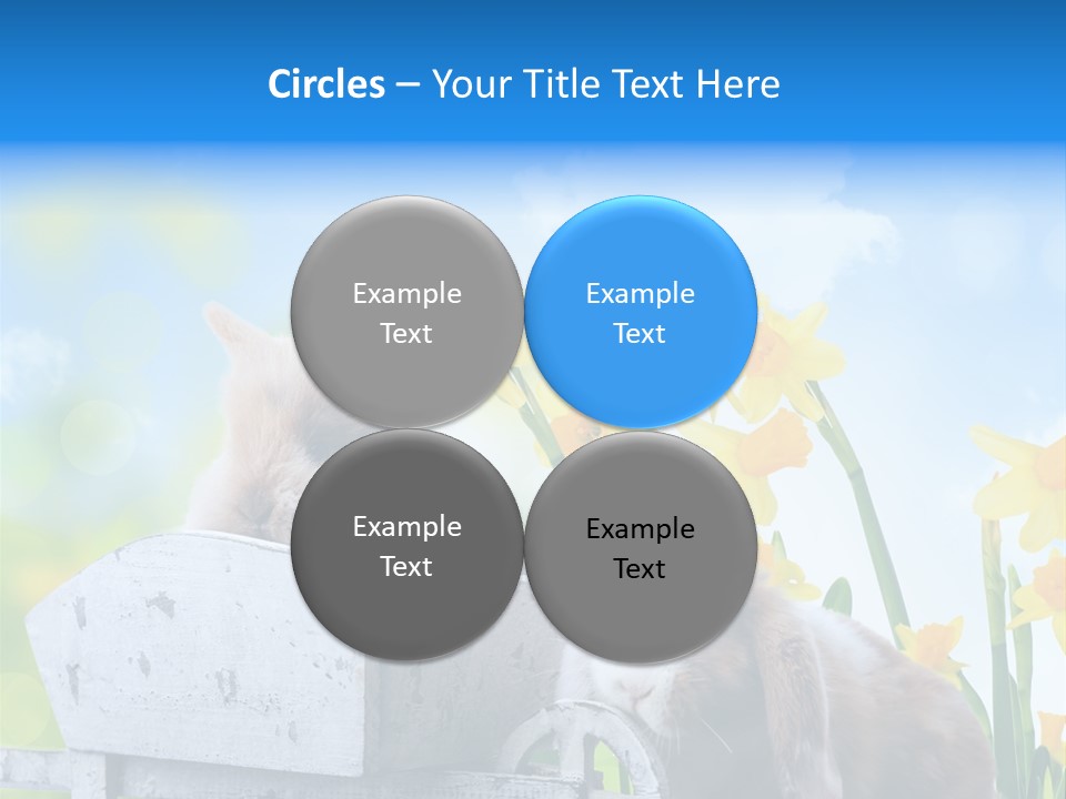 Kinder Sommer Nagetier PowerPoint Template