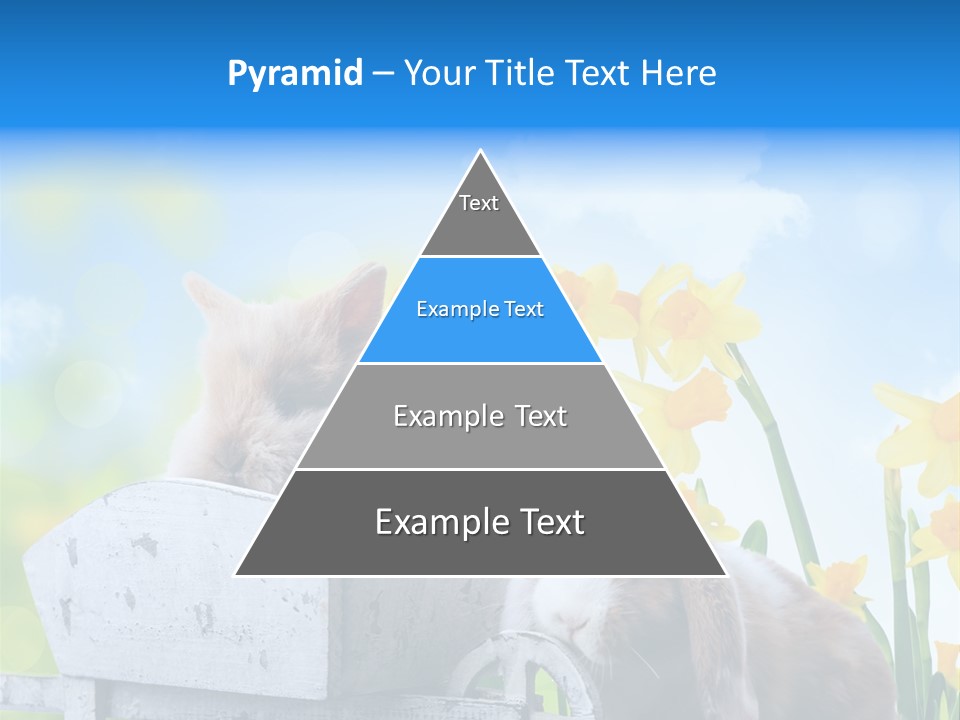 Kinder Sommer Nagetier PowerPoint Template