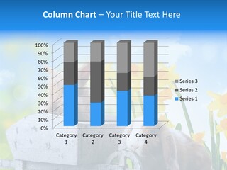 Kinder Sommer Nagetier PowerPoint Template