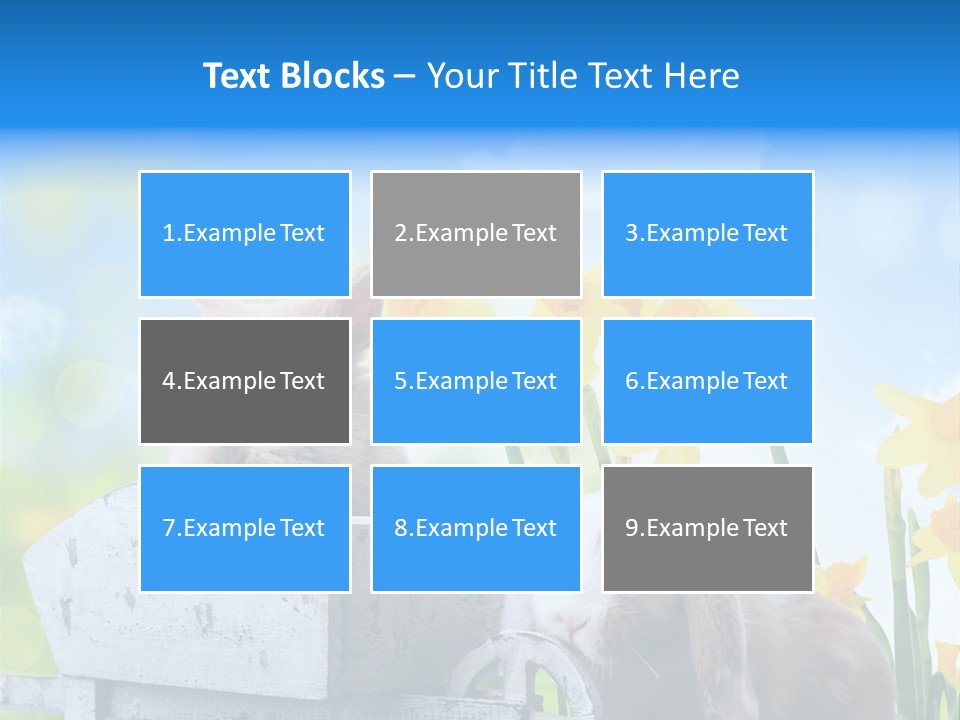 Kinder Sommer Nagetier PowerPoint Template