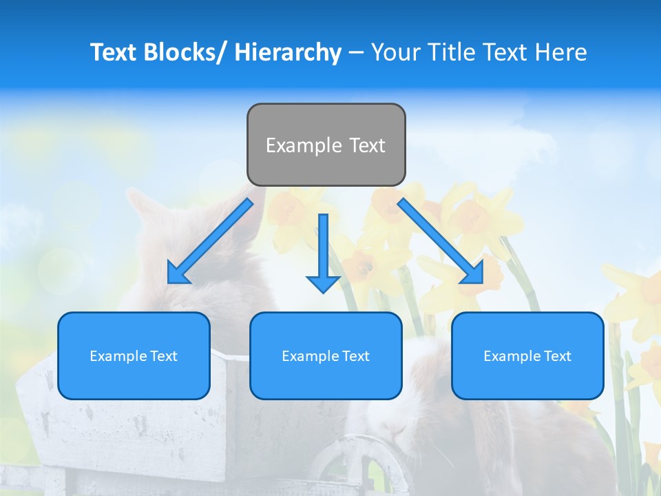 Kinder Sommer Nagetier PowerPoint Template