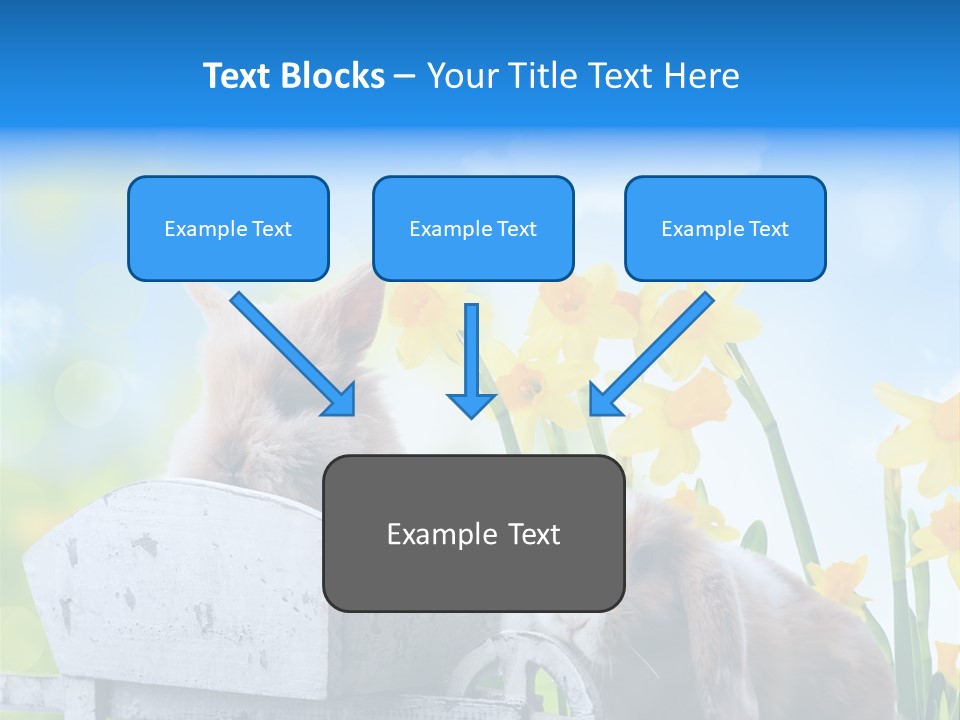 Kinder Sommer Nagetier PowerPoint Template