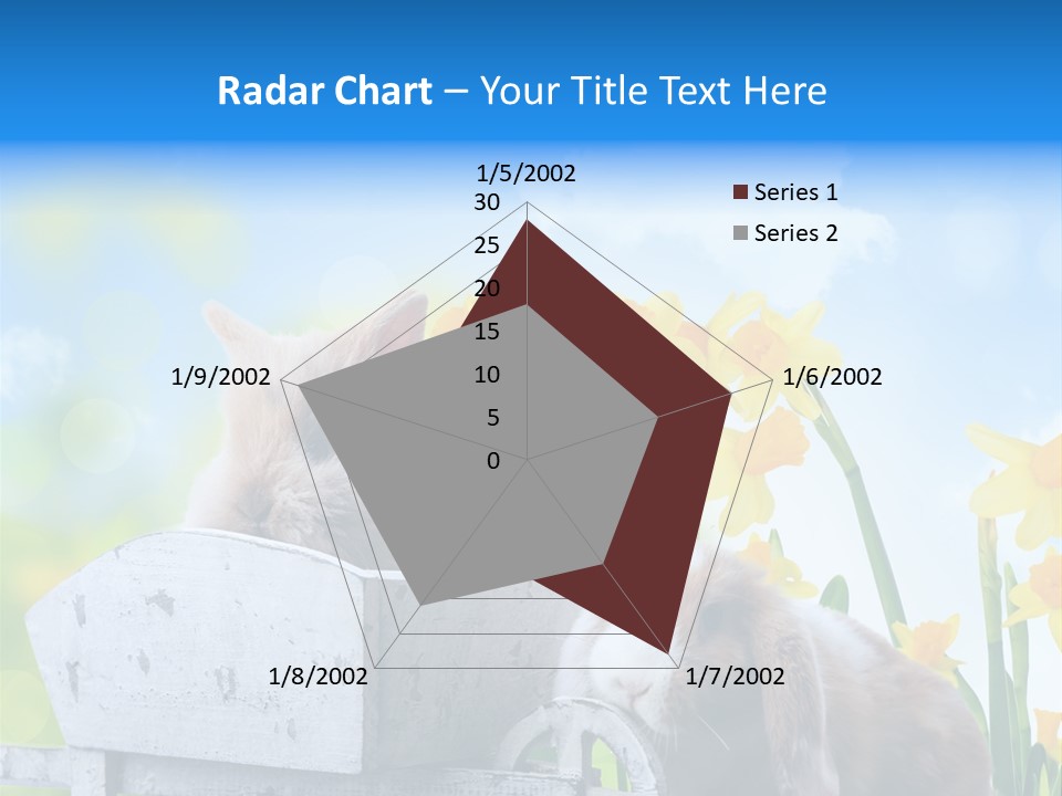 Kinder Sommer Nagetier PowerPoint Template