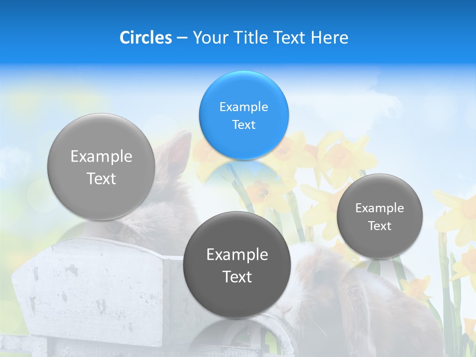 Kinder Sommer Nagetier PowerPoint Template