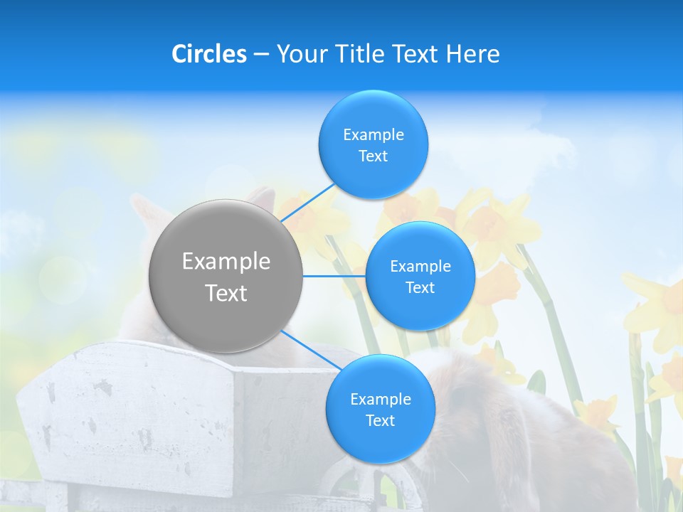 Kinder Sommer Nagetier PowerPoint Template