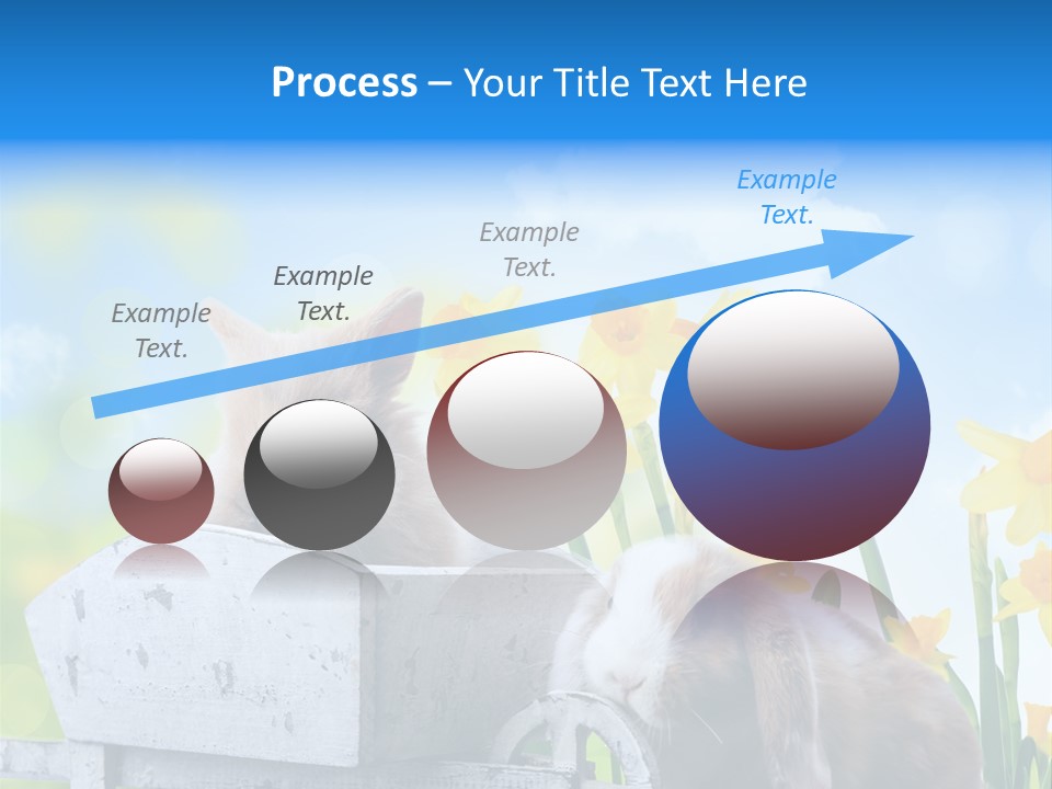 Kinder Sommer Nagetier PowerPoint Template