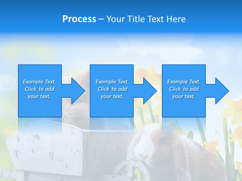 Kinder Sommer Nagetier PowerPoint Template