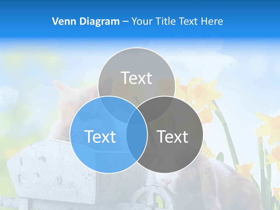 Kinder Sommer Nagetier PowerPoint Template