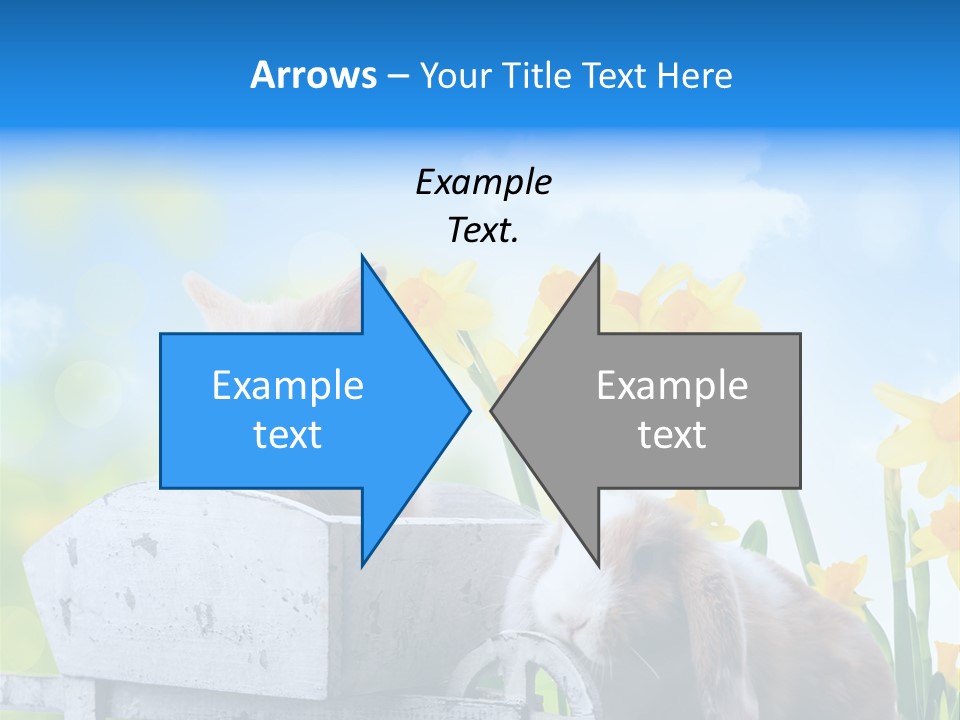 Kinder Sommer Nagetier PowerPoint Template