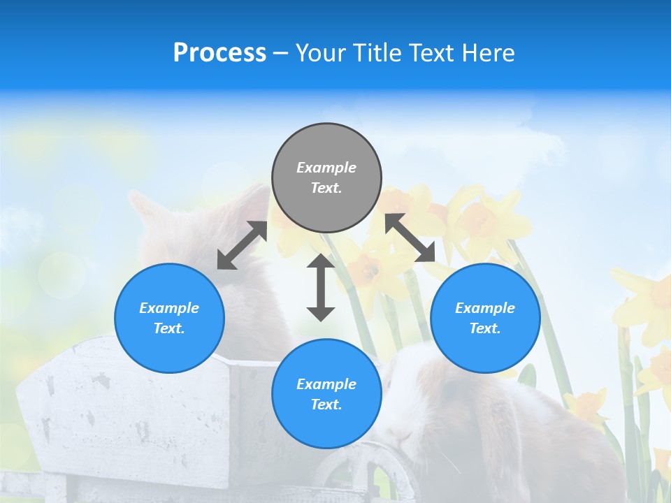 Kinder Sommer Nagetier PowerPoint Template