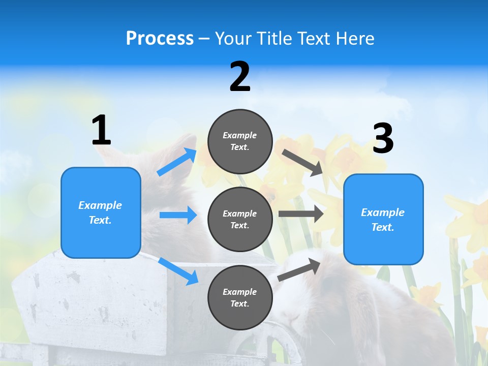 Kinder Sommer Nagetier PowerPoint Template
