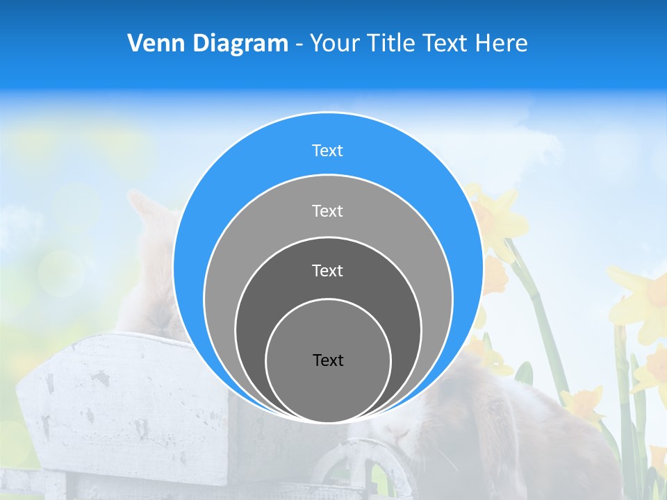 Kinder Sommer Nagetier PowerPoint Template