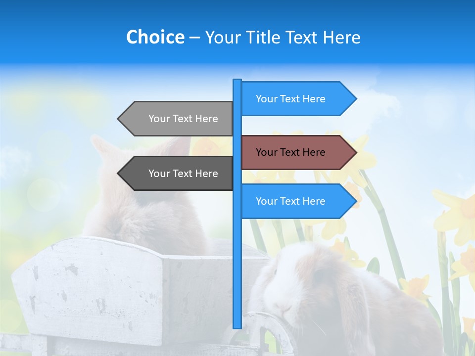 Kinder Sommer Nagetier PowerPoint Template