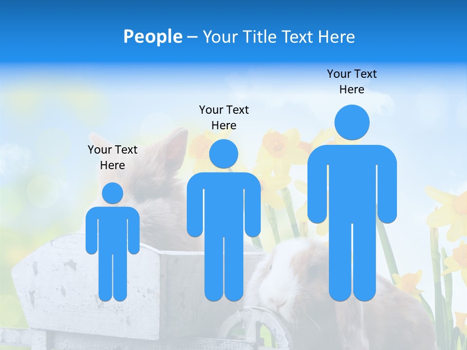 Kinder Sommer Nagetier PowerPoint Template