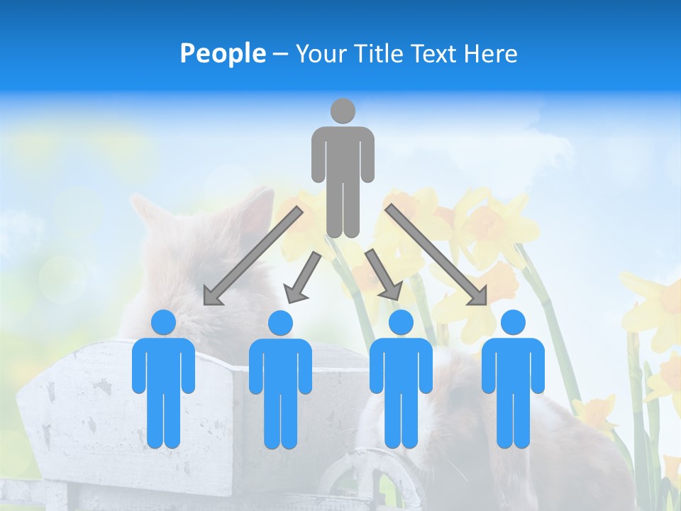 Kinder Sommer Nagetier PowerPoint Template