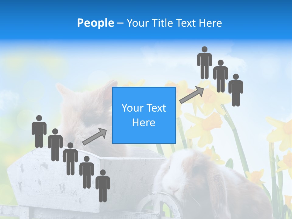 Kinder Sommer Nagetier PowerPoint Template