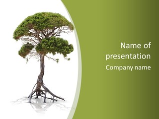 Wei Umweltschutz Waldsterben PowerPoint Template