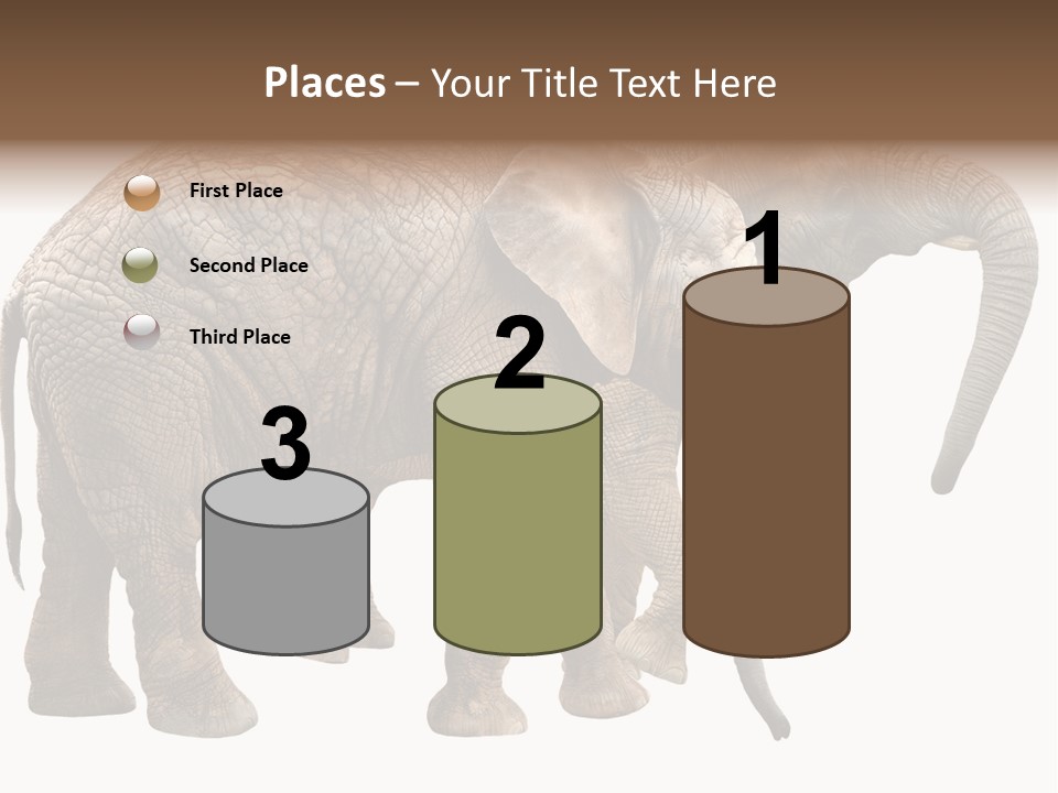 One Natural Tusk PowerPoint Template