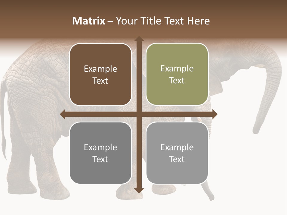 One Natural Tusk PowerPoint Template