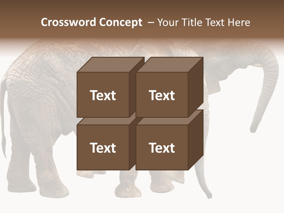 One Natural Tusk PowerPoint Template