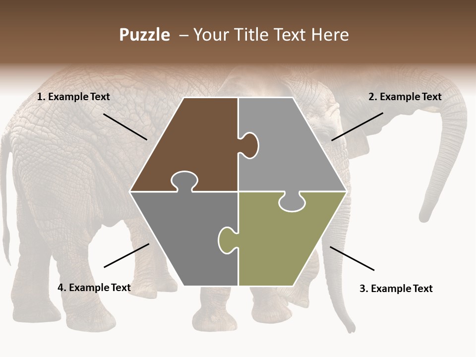 One Natural Tusk PowerPoint Template