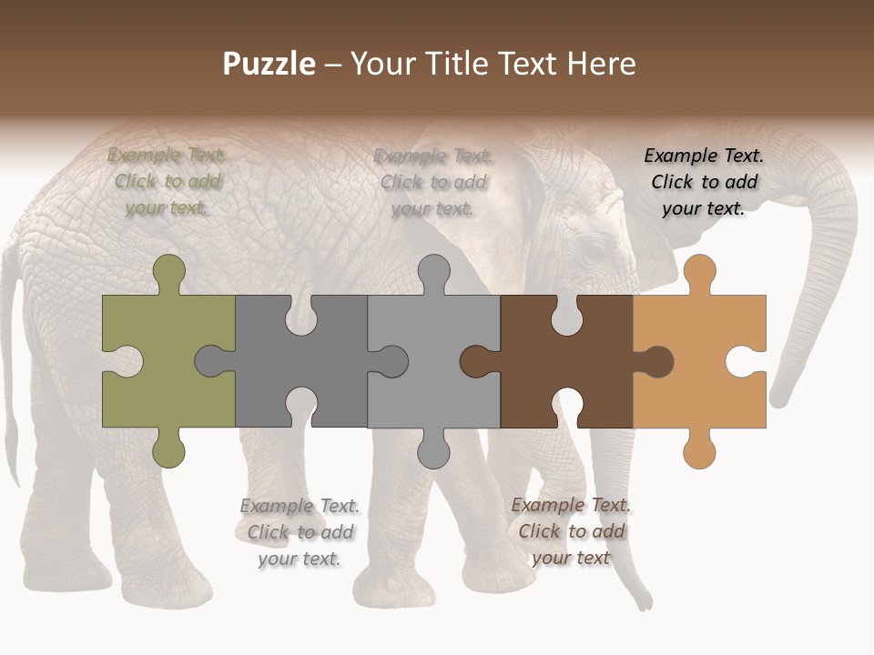 One Natural Tusk PowerPoint Template