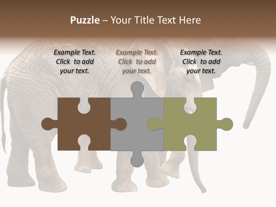 One Natural Tusk PowerPoint Template