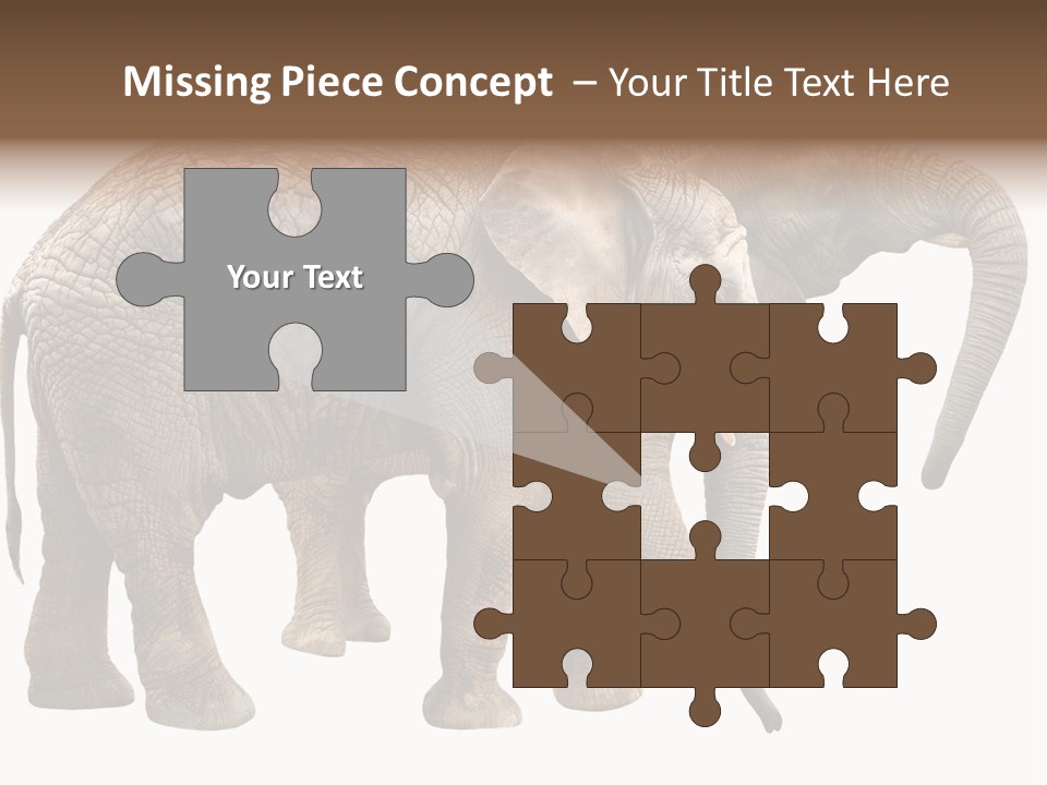 One Natural Tusk PowerPoint Template