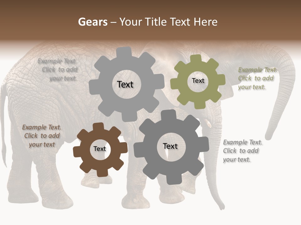 One Natural Tusk PowerPoint Template