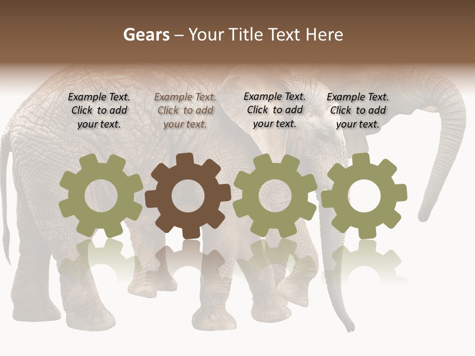 One Natural Tusk PowerPoint Template