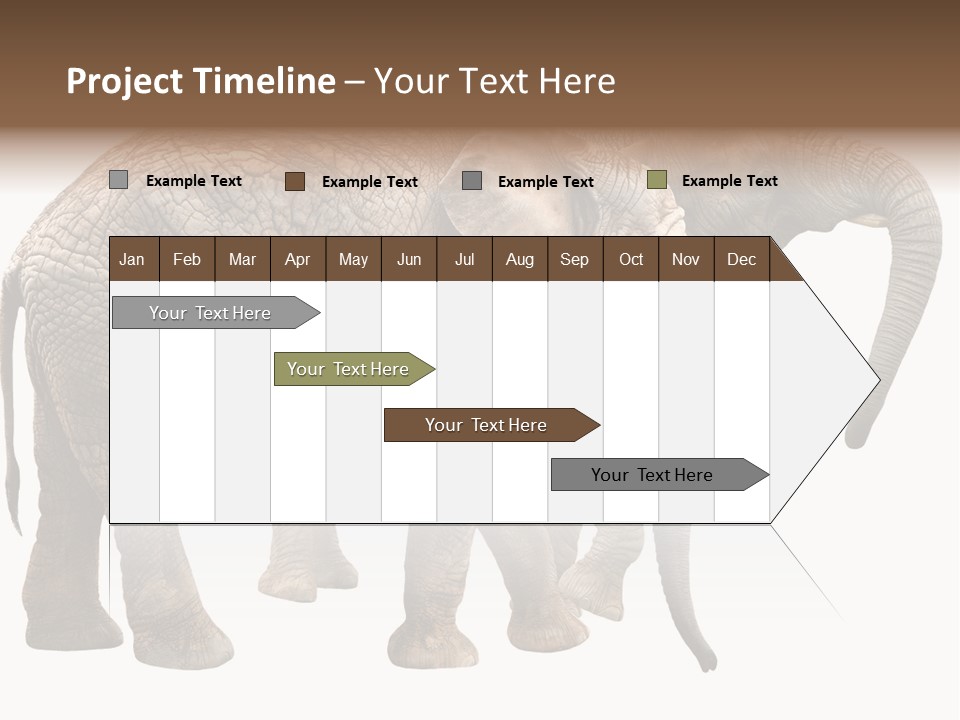 One Natural Tusk PowerPoint Template
