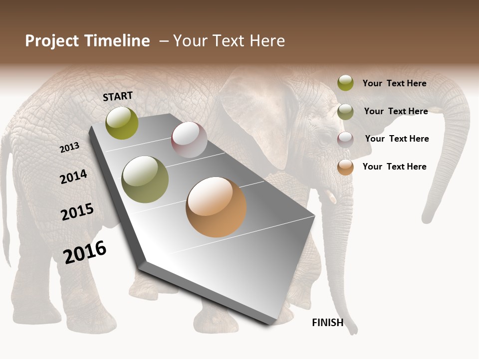 One Natural Tusk PowerPoint Template