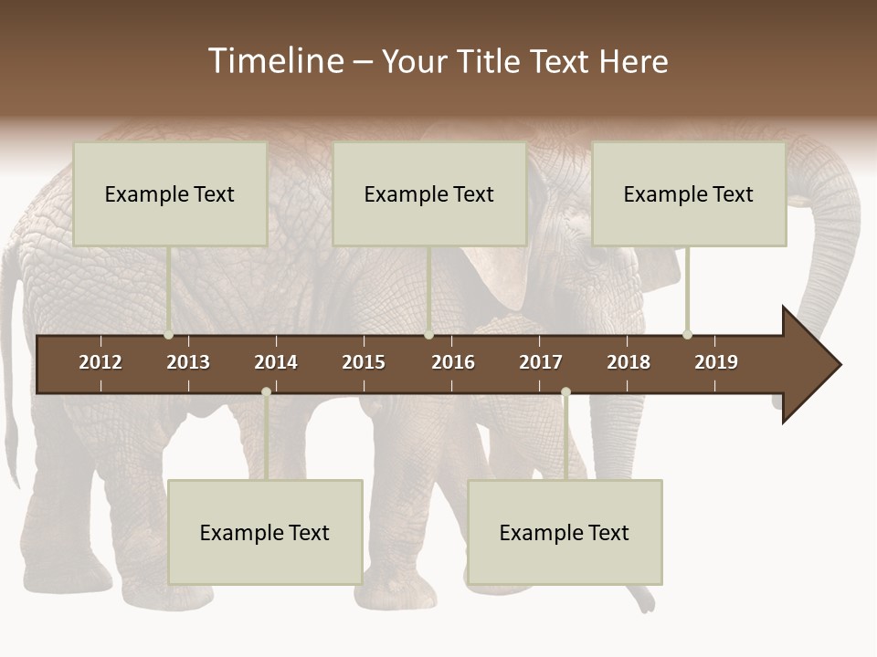 One Natural Tusk PowerPoint Template
