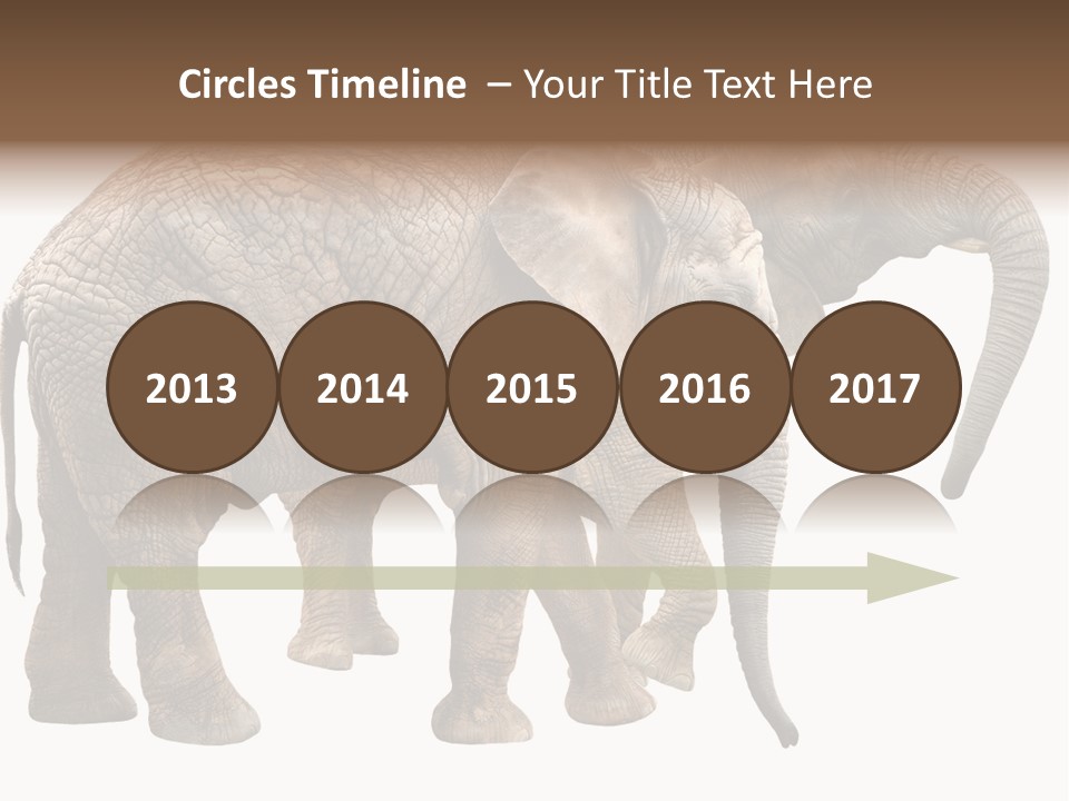 One Natural Tusk PowerPoint Template