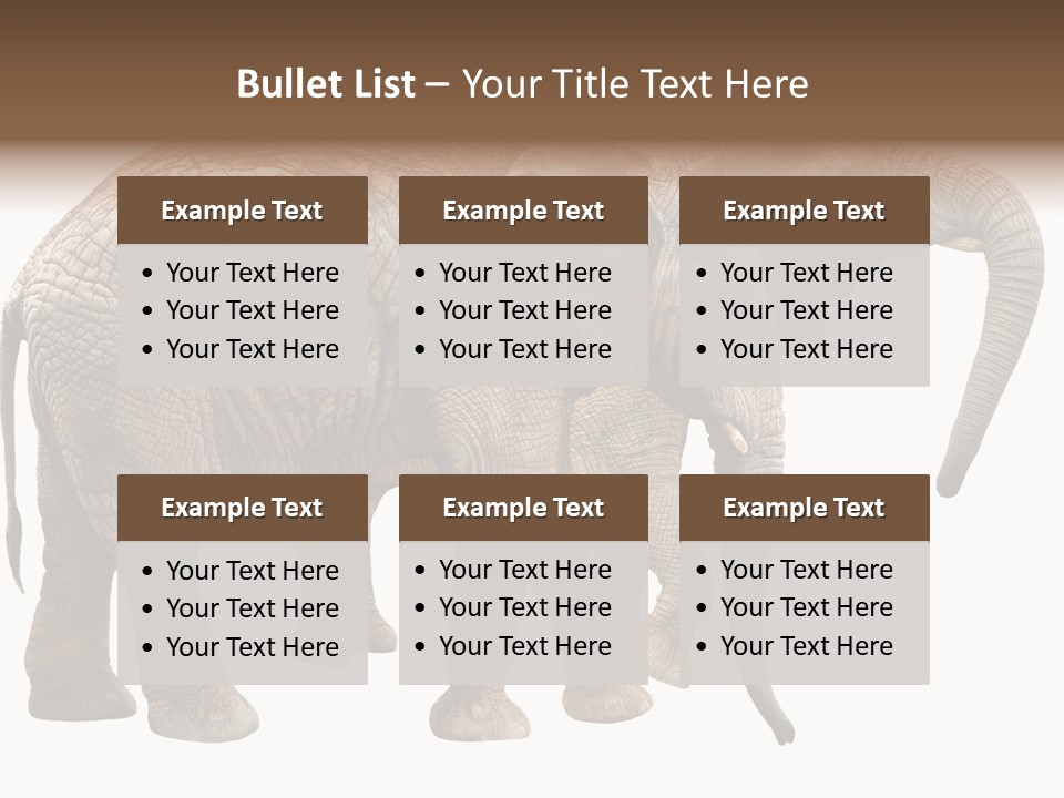 One Natural Tusk PowerPoint Template