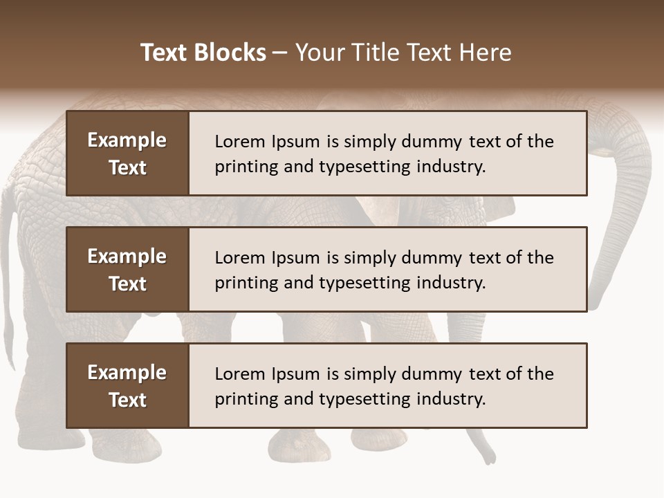 One Natural Tusk PowerPoint Template