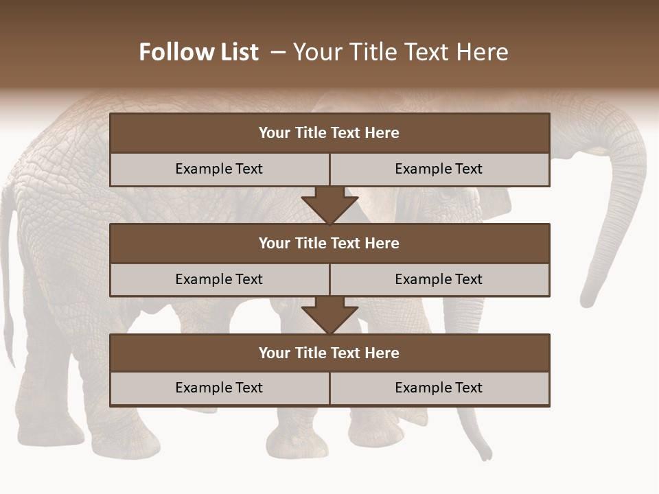 One Natural Tusk PowerPoint Template