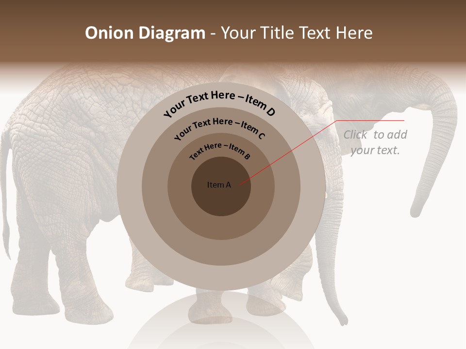 One Natural Tusk PowerPoint Template
