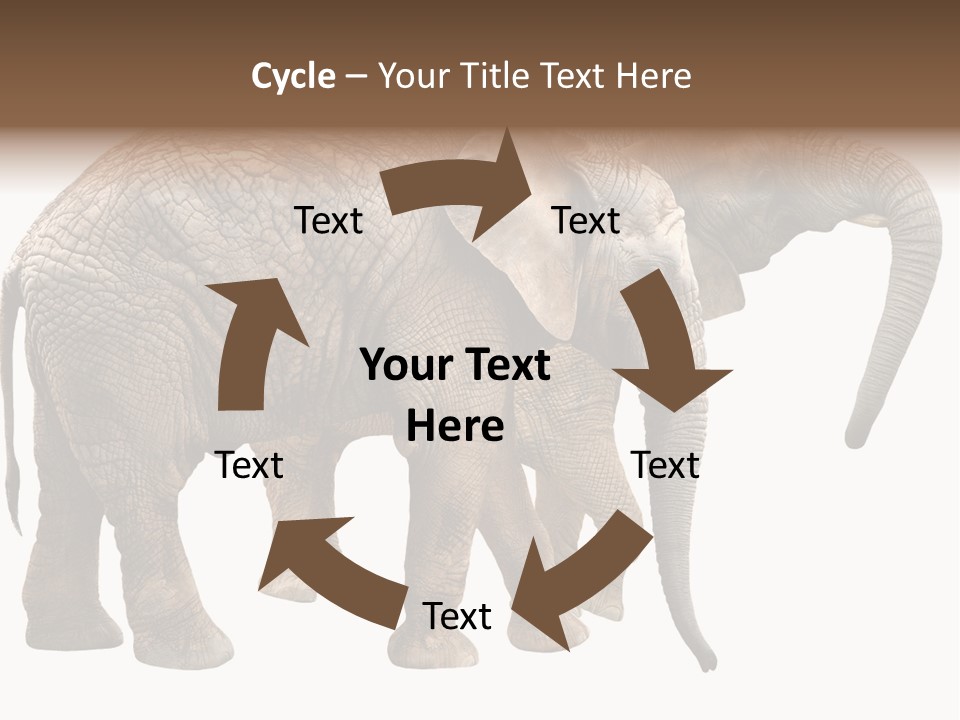 One Natural Tusk PowerPoint Template