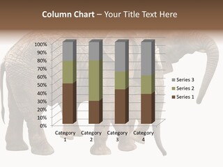 One Natural Tusk PowerPoint Template